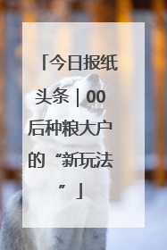 今日报纸头条｜00后种粮大户的“新玩法”
